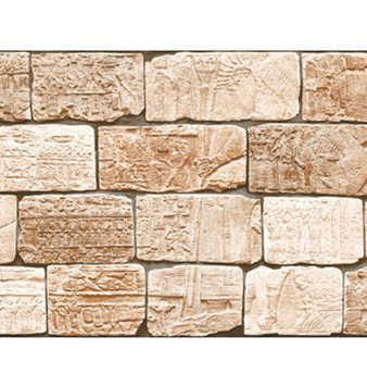 Somany Outdoor Wall Tile 15