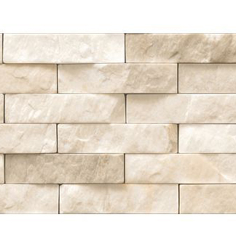 Somany Outdoor Wall Tile 20